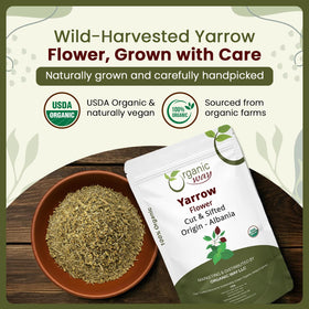 Organic Way Yarrow Flower dried herb closeup showing earthy notes for blends.