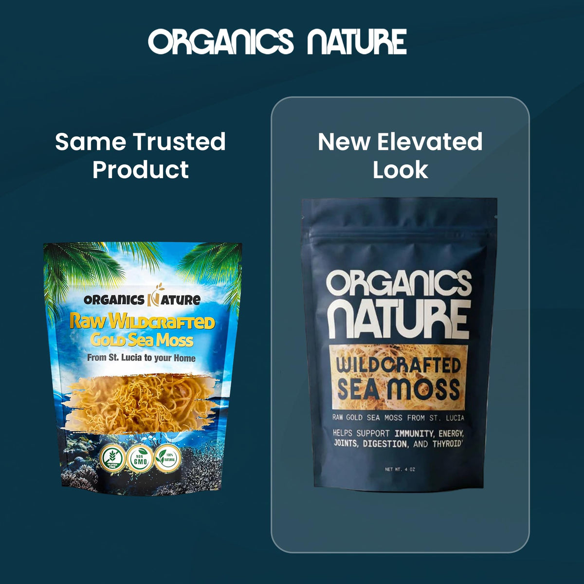 Organics Nature sea moss in bottle packaging for convenient daily use