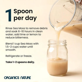 Organics Nature sea moss gel ready for smoothies and recipes
