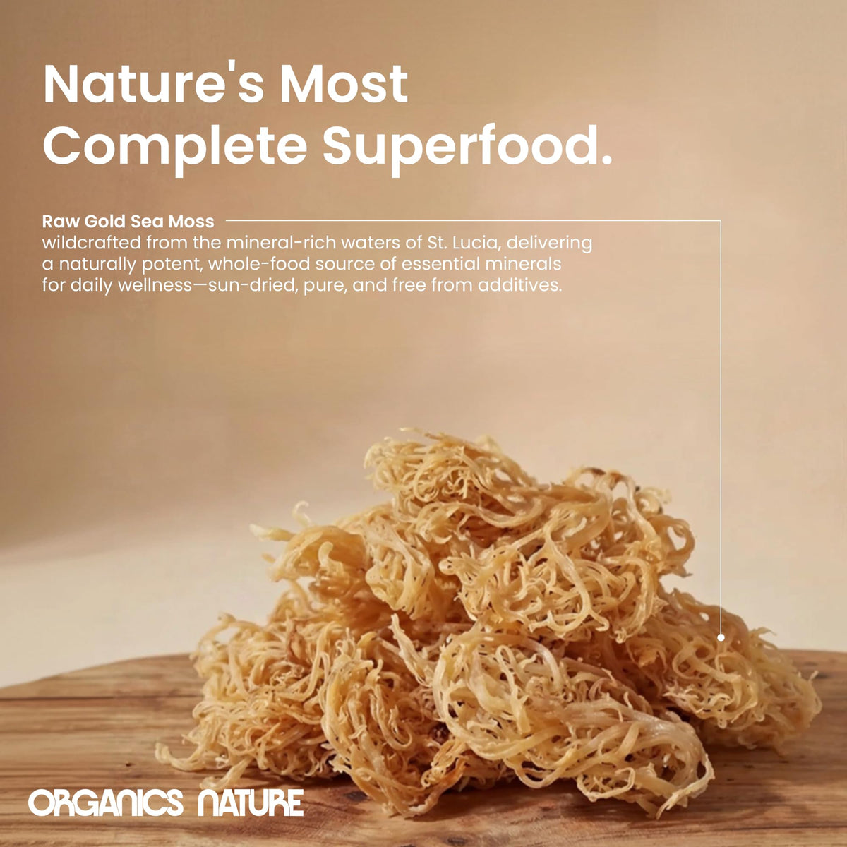 Wild harvest from St. Lucia seas by Organics Nature