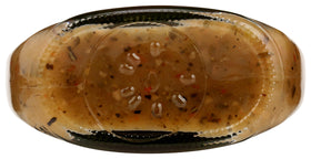 Ideas for Organicville salt-free dressing as marinades and dips