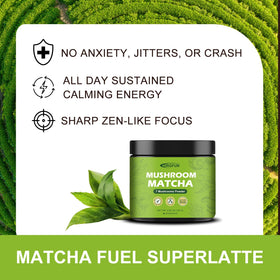 ORGFUN resealable BPA-free jar keeps mushroom matcha fresh for daily use.