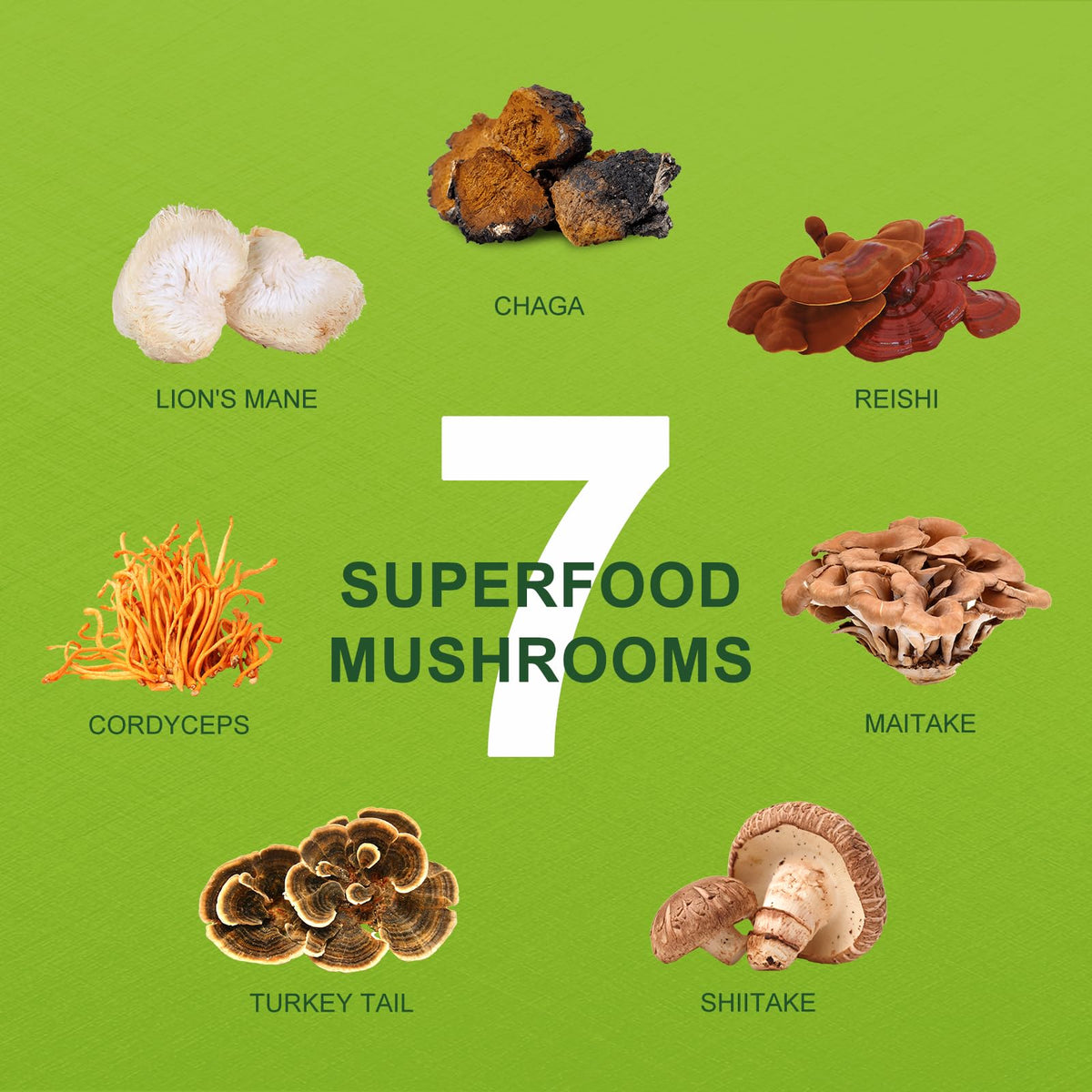 ORGFUN mushroom-infused latte with MCT oil pour over, energizing smoothness.