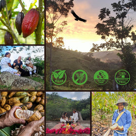 Origen Cacao Husk Tea independent lab testing indicates low heavy metals and safety.