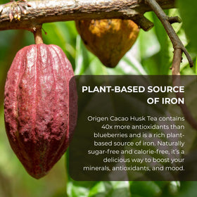 Origen Cacao Husk Tea Mayan tradition concept evokes a daily ritual of wellness.