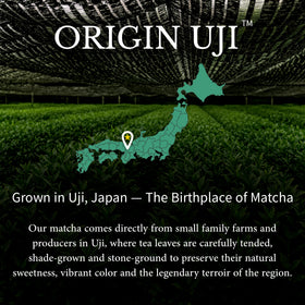 Origin Uji Matcha Masters Reserve harvest leaves depict first harvest shade-grown quality.