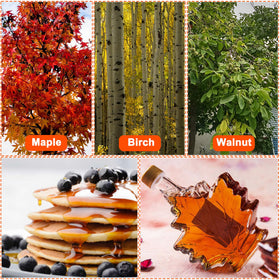 Oscorna sugaring starter kit offers a complete family-friendly experience.