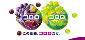 OSK Kororo gift-ready 12-pack display ideal for sharing at gatherings.