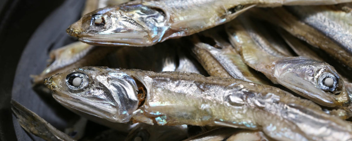 OSK Niboshi added to soups or stir-fries for depth.