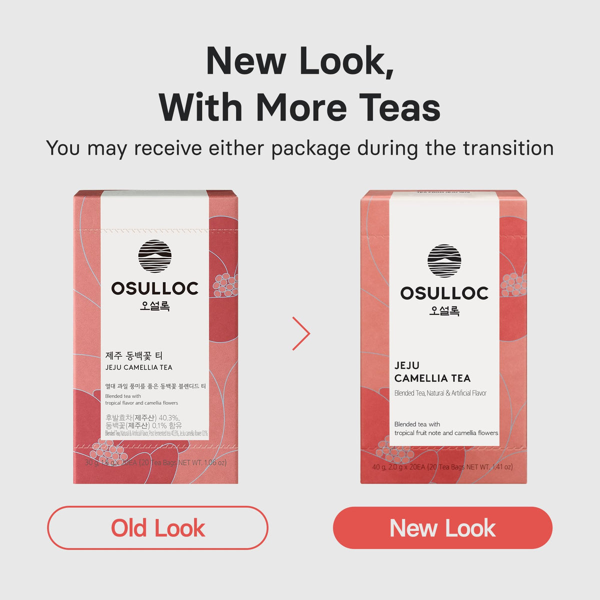 Osulloc Camellia Flower Tea with tropical fruit flavor enhances afternoon refreshment