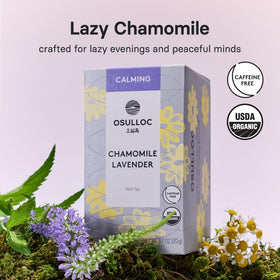 Osulloc chamomile lavender tin packaging showcases a soothing herbal blend for relaxing evenings.