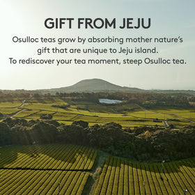 Osulloc Fig Chocolat pairs well with desserts for a satisfying after-dinner ritual.