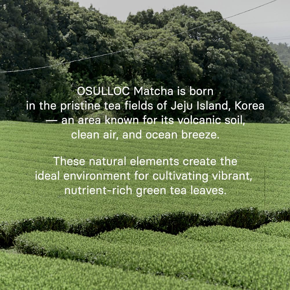 OSULLOC home cafe matcha experience elevate daily rituals with premium Jeju matcha
