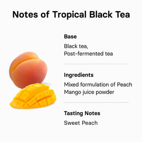 Osulloc Peach Black Tea brewing in hot water shows versatile serving.