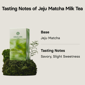 Cup showing creamy Osulloc Jeju Matcha Milk Tea texture and aroma