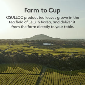 Osulloc Langue de Chat tin display suggests premium gifting