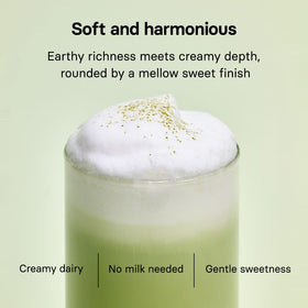 OSULLOC matcha milk tea brew cup creamy latte in minutes with just water