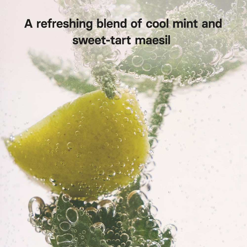 Osulloc Mint Maesil tea Korean plum image evokes subtle sweetness.