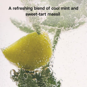 Osulloc Mint Maesil tea Korean plum image evokes subtle sweetness.