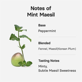 Osulloc Mint Maesil tea mint leaves highlight cooling aroma.