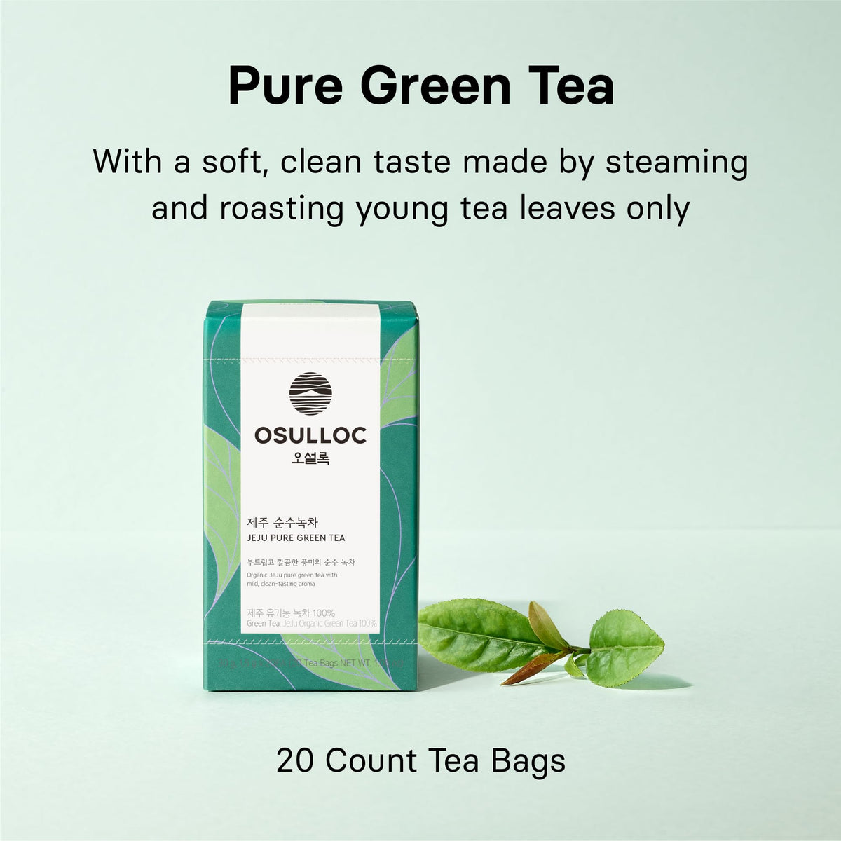 Osulloc Pure Green Tea cup with steam emphasizes delicate flavors and a smooth finish.