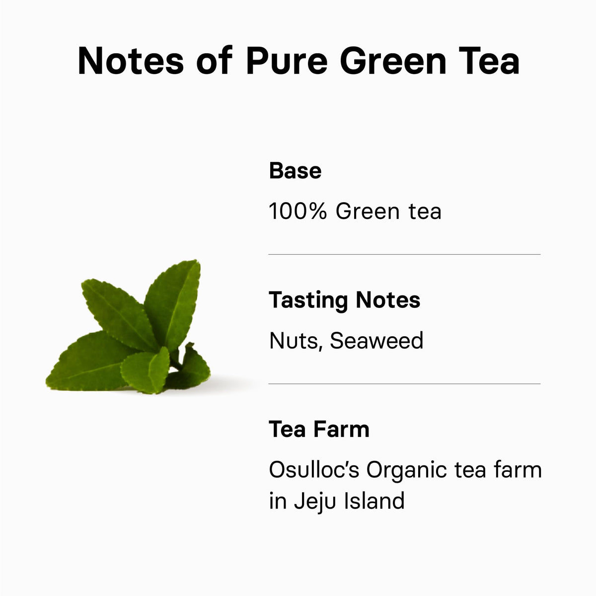 Osulloc Green Tea sachet close-up reveals vibrant leaves and a fresh aroma.