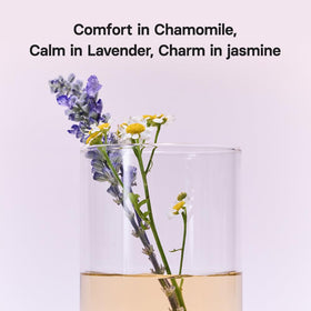Osulloc steaming cup of chamomile lavender tea inviting a peaceful wind-down ritual.