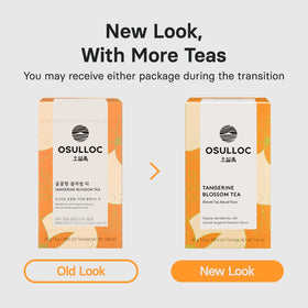 Osulloc Tangerine Blossom Tea bags grouped for easy brewing