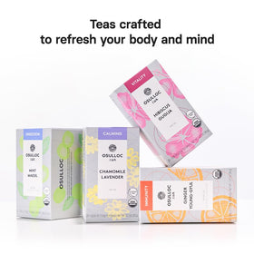 Brewing Osulloc tea creates a soothing, revitalizing cup for a daily reset.