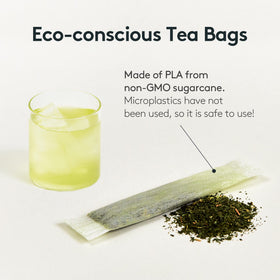 Brewing Osulloc tea with cold-water infusion for on-the-go refreshment.