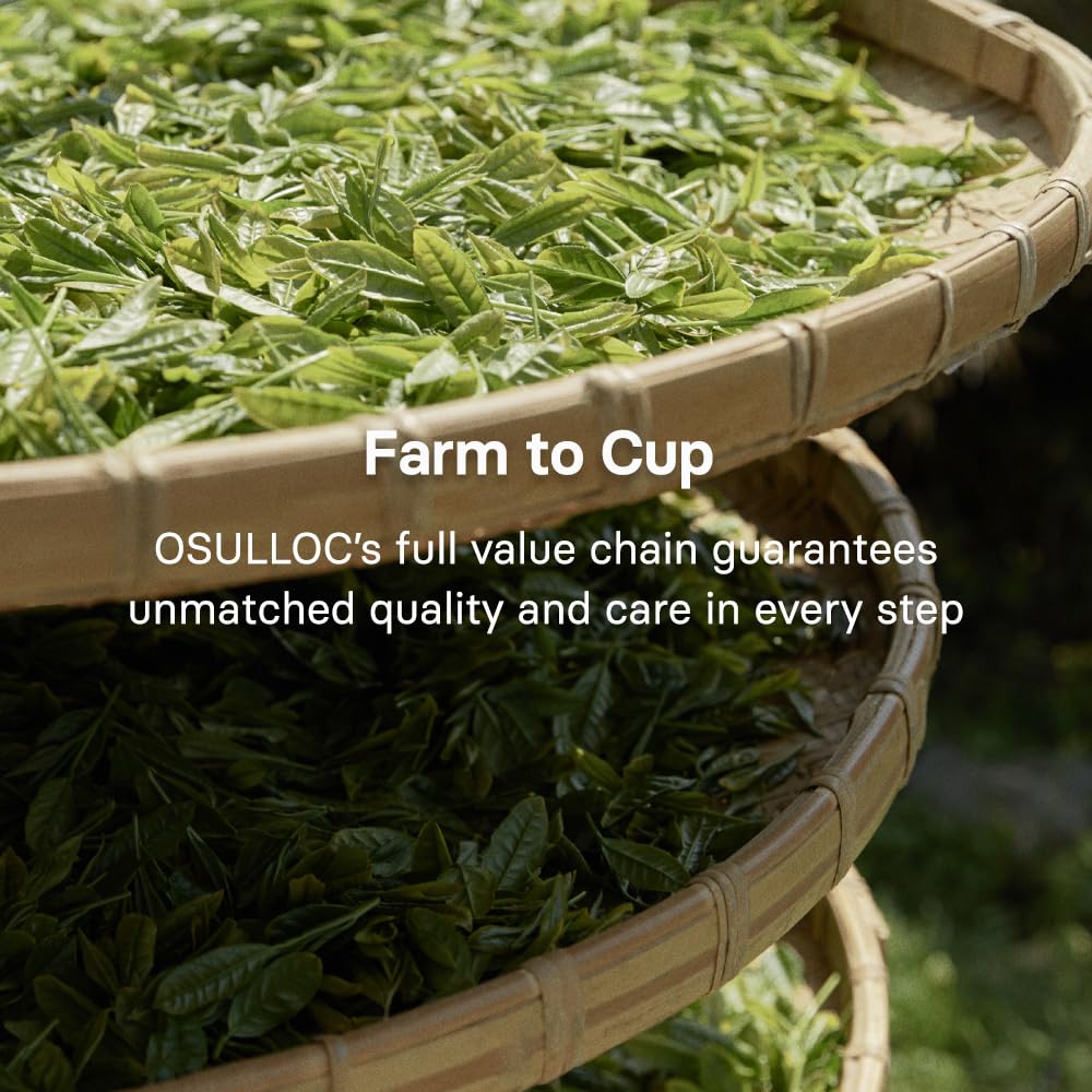 OSULLOC Volcanic Isle Matcha cup with lid reflects refined ceremonial experience.