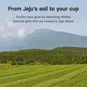 OSULLOC Yuja Earl Grey back-of-pack view noting organic ingredients