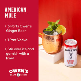 Owen's Craft Mixers cocktail setup suggests easy, premium drinks at home.