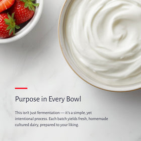 oxiceutics dairy-free base used to craft probiotic yogurt