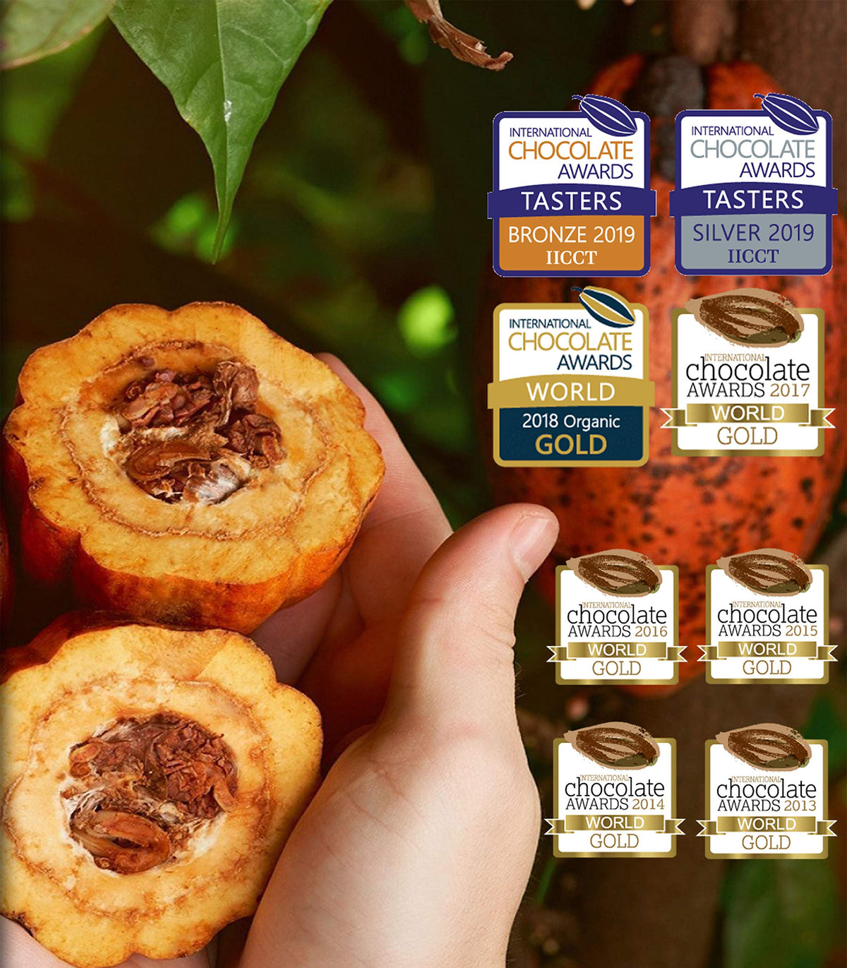 Pacari fair-trade cacao beans support sustainable farming and ethical sourcing.