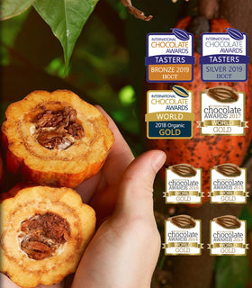 Pacari fair-trade cacao beans support sustainable farming and ethical sourcing.