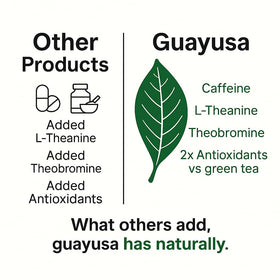 Pacha Guayusa aroma close-up—earthy scent enhances mindful tea rituals.