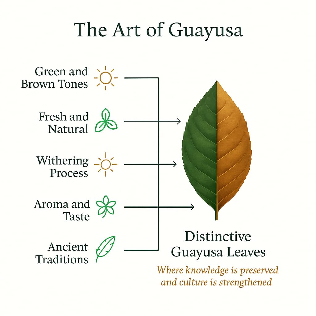 Pacha Guayusa loose leaf container—single origin Ecuador for premium flavor.