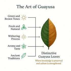 Pacha Guayusa loose leaf container—single origin Ecuador for premium flavor.