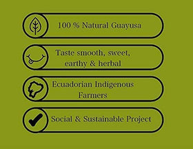 Pacha Guayusa origin Ecuador Amazon—sustainable farming story.
