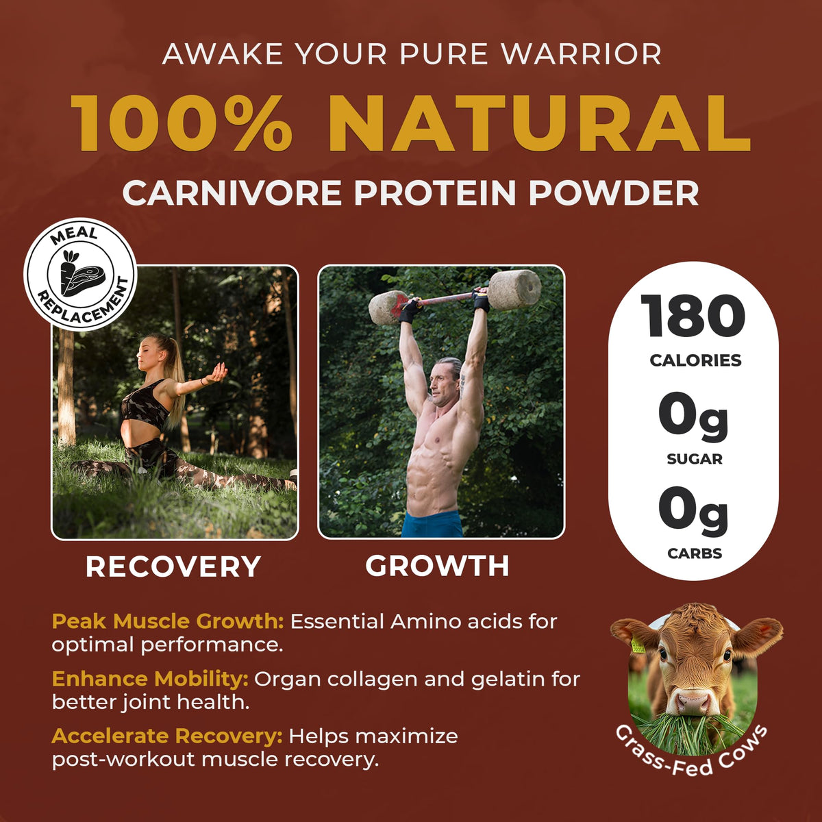 Paleo Pro Carnivore Complete natural cocoa flavor powder close-up