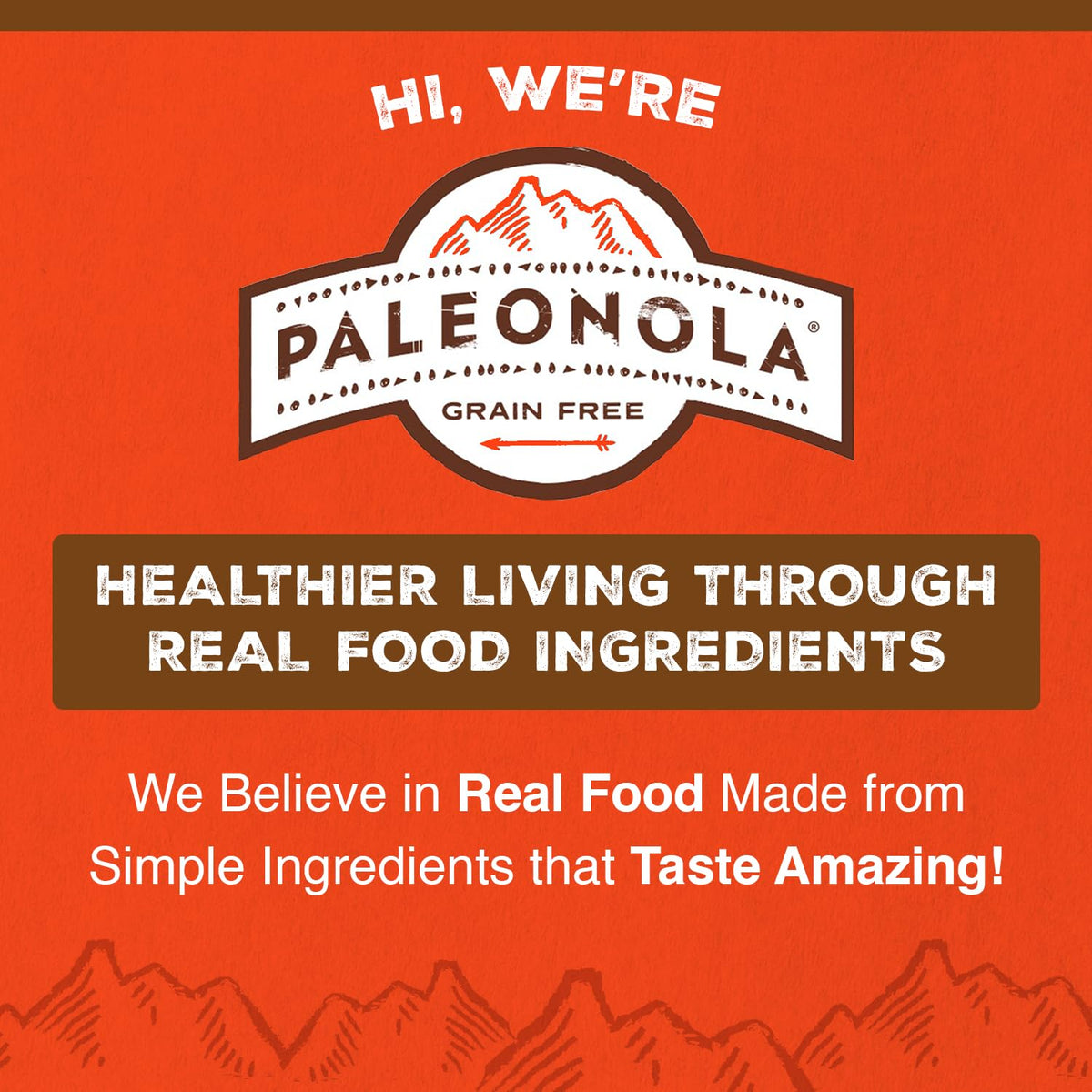 Hero packaging image of Paleonola Maple Pancake granola flavor