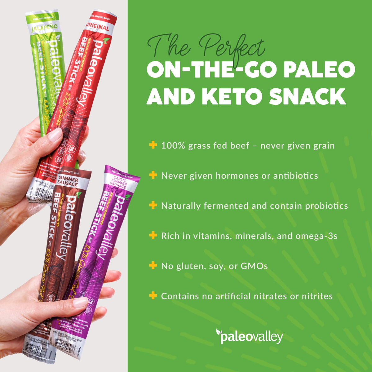 Paleovalley beef sticks outdoor snack—protein-rich energy for active days