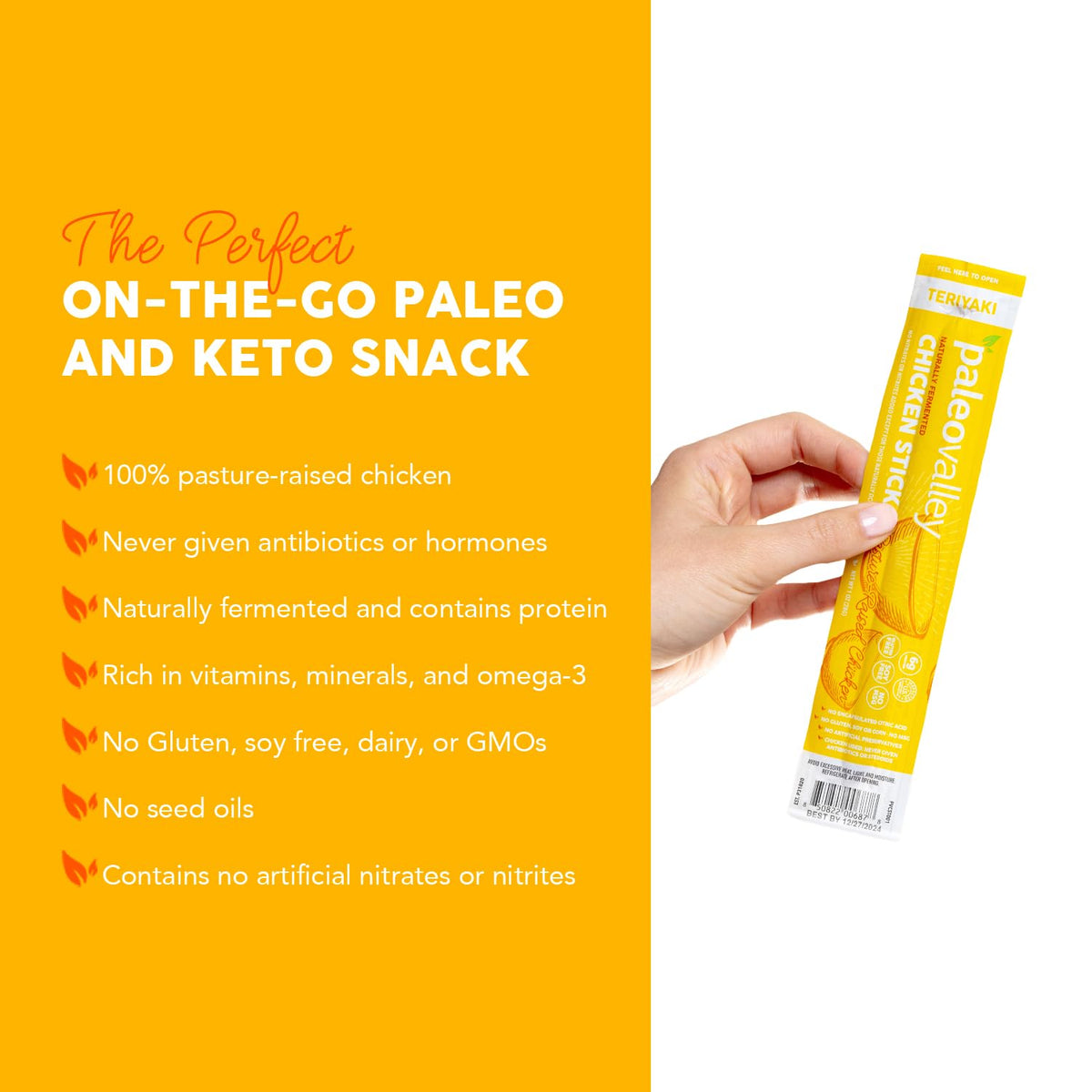 Paleovalley Teriyaki sticks bite close-up highlighting savory flavor and protein.