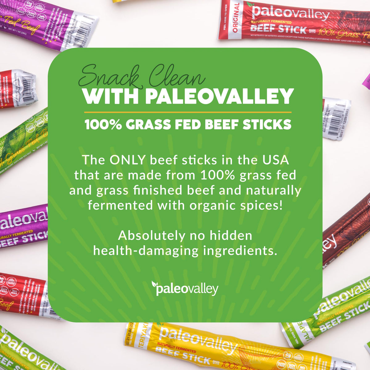 Paleovalley gluten free beef sticks highlighting probiotic nutrition.
