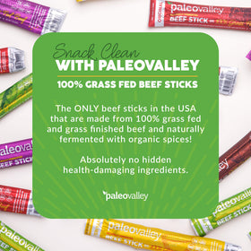 Paleovalley gluten free beef sticks highlighting probiotic nutrition.