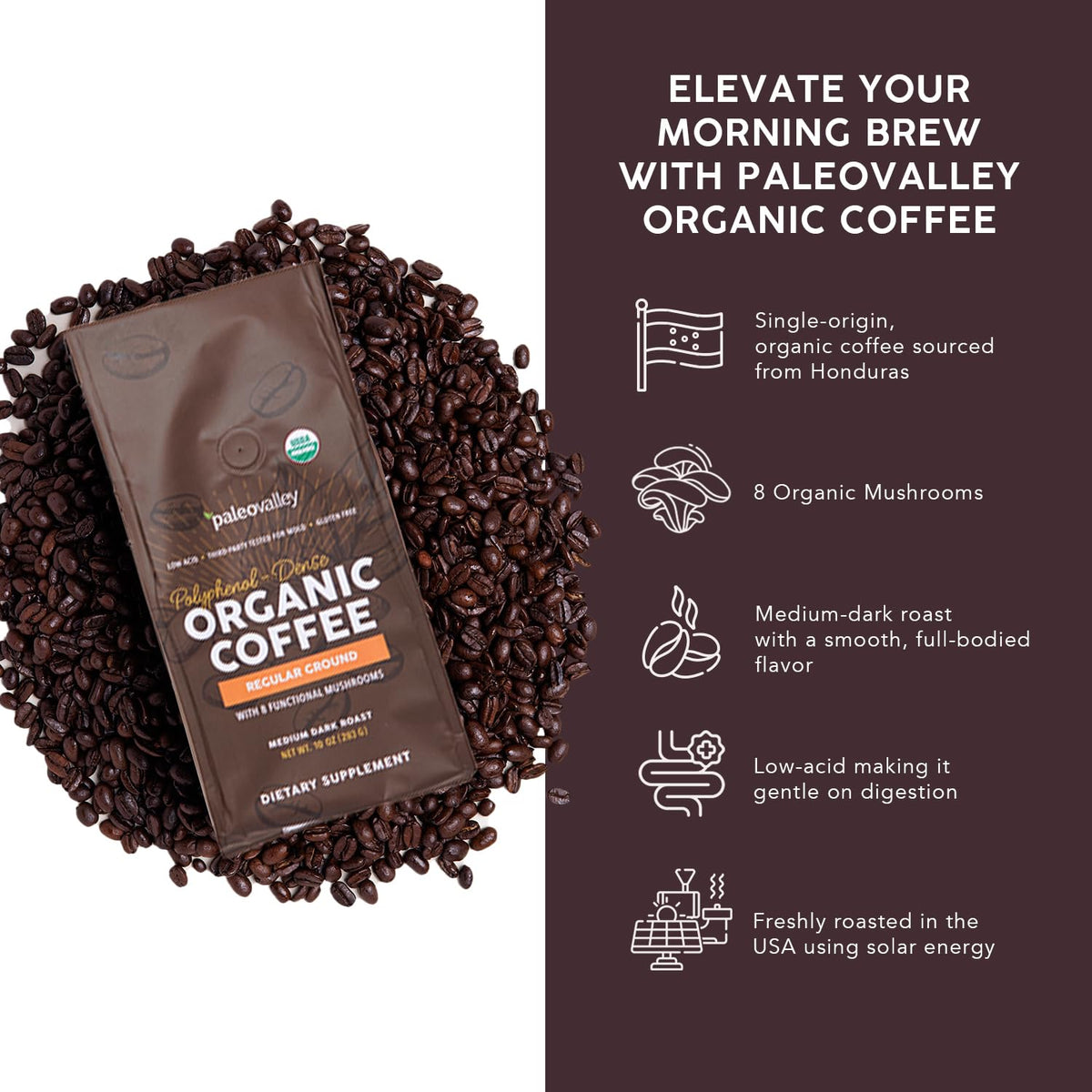 Paleovalley Organic Ground Coffee mug beside bag suggesting mushroom-infused energy