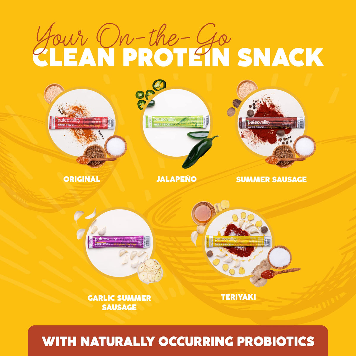 Paleovalley Teriyaki Beef Sticks serving on-the-go in hand.