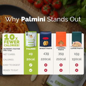 Palmini linguine pasta served on plate ready to enjoy a meal.