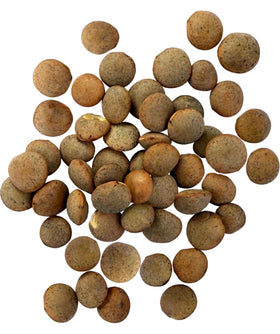 Palouse Brand brown lentils bulk dry scoop closeup, showing texture for quick meals.